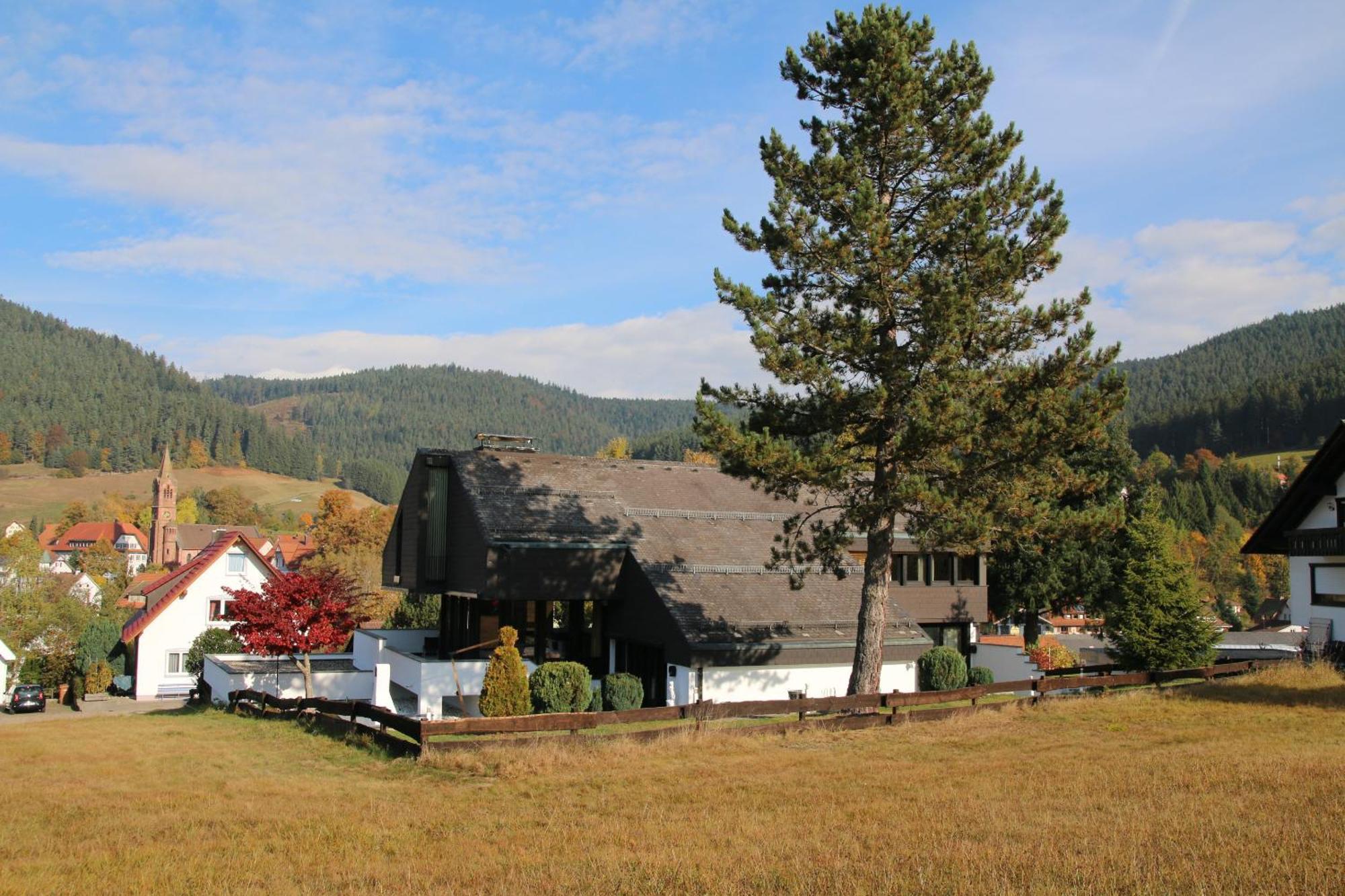 Luxus-Landhaus Im Schwarzwald/Baiersbronn Mit Pool Kültér fotó